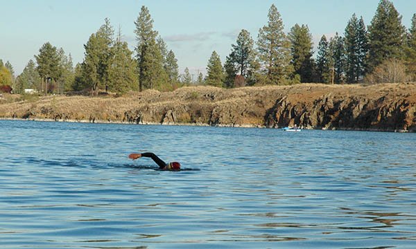 Woman open water swimming in a lake.