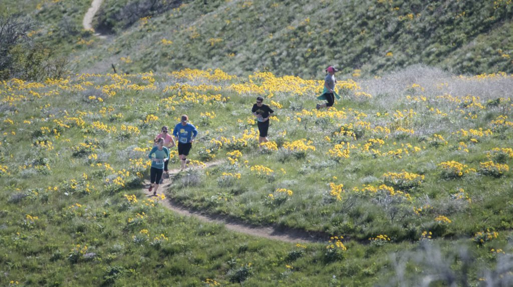 Five runners along a singletrack dirt trail through a meadow of wildflowers.