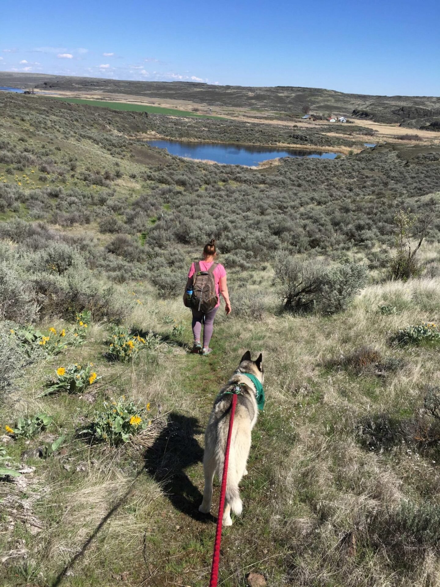 A woman and her dog walking on a trail towards a lake.