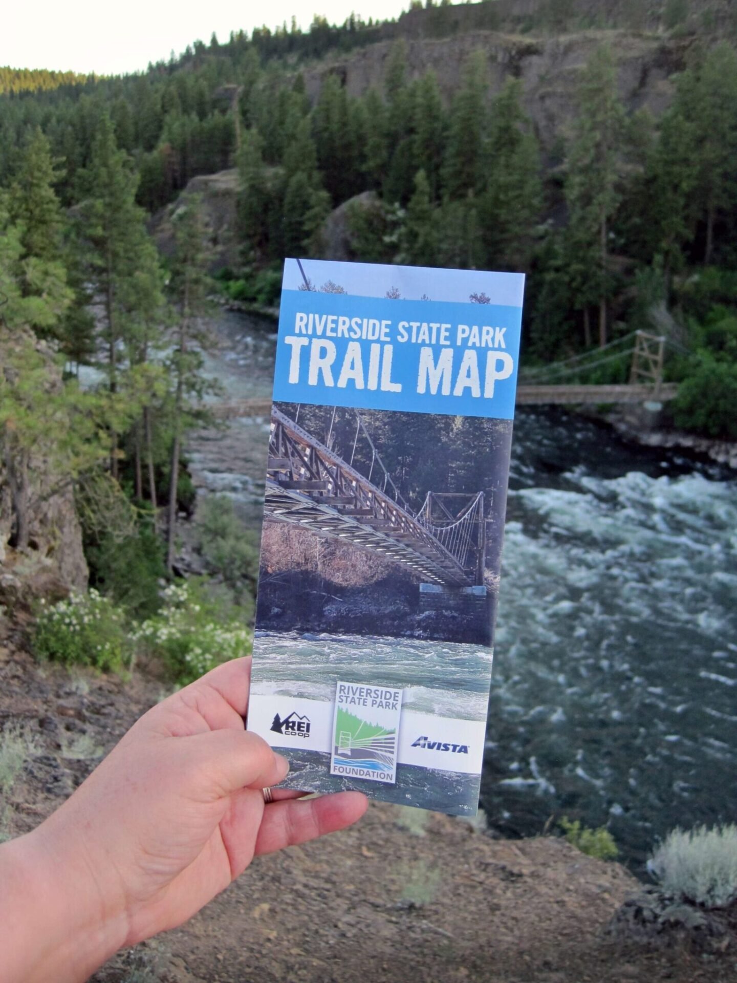 Person holding a brochure with a river in the background.