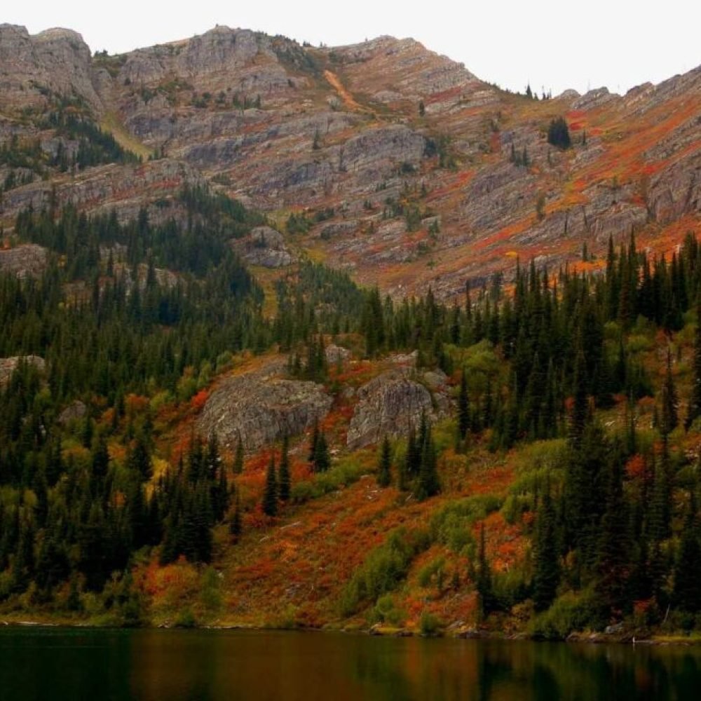 A forested mountain on the side of the lake.