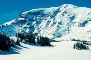 North Face of Mount Rainier