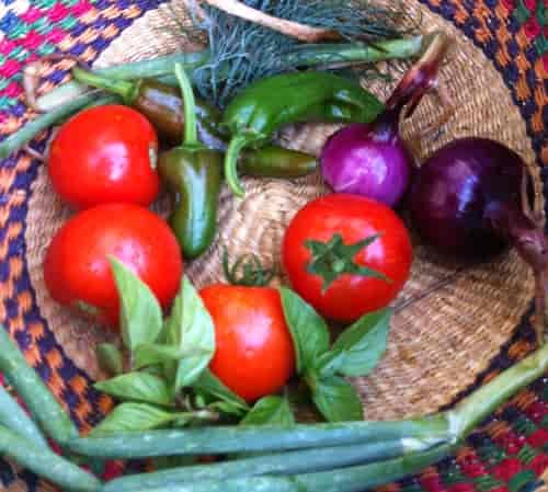 Harvest from the 2013 garden.
