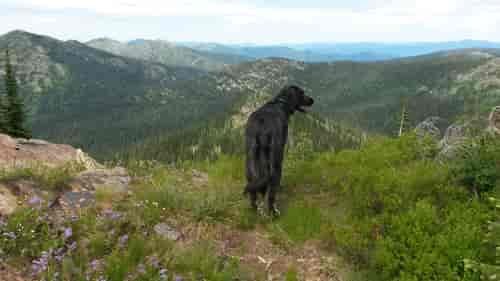 "This Land" Photo: Sean Henderson at Bear Lake, ID.