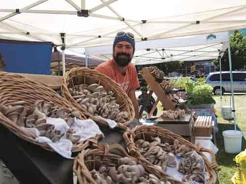 Joaquin Marelli, from Newport, Washington, sells the mushrooms he grows, at the Spokane Farmers' Market. Joaquin was looking forward to running the Kaniksu 50 Ultra at the end of June in under 8 hours. Photo: Amy Silbernagel McCaffree