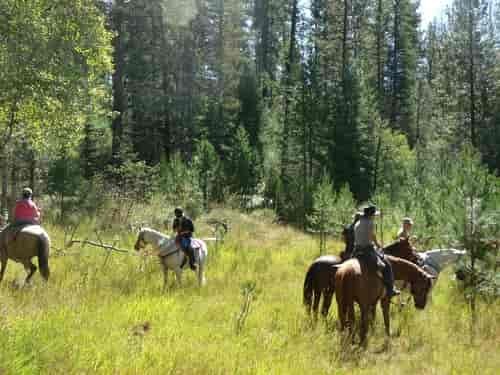 On Moose Ridge. Photo: Sherry Mundt