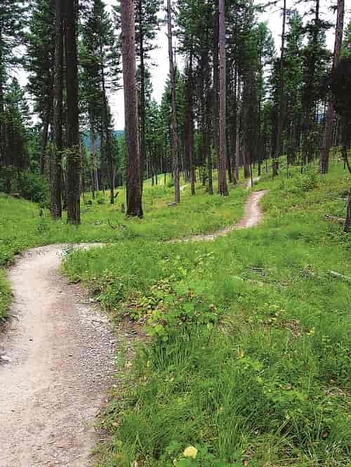 "Fast, flowing trails with wonderfully playful design through changing landscapes in a seemingly ceaseless journey around hillsides and through canyons. I could not stop smiling." Photo: Ammi Midstokke