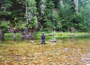 North Fork of the Coeur d'Alene River: An angler's paradise. Photo: David Uhlenkott