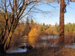Phenology is the study of timing in nature. When the ice melts. When flowers bloom. When aquatic insects emerge. Photo: Bea Lackoff