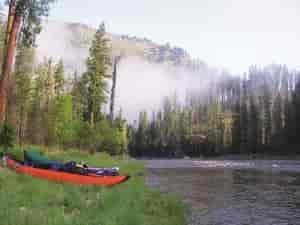 Selway morning mist. Photo: Derrick Knowles