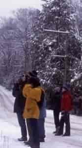 birdinginsnow3