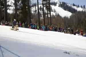 Photo courtesy of Tourism Fernie