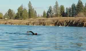 Woman open water swimming in a lake.