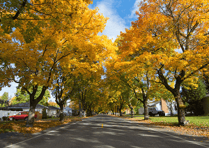 Photo of Millwood by Craig Goodwin