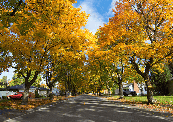 Photo of Millwood by Craig Goodwin