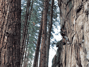 Photo of climber by Summer Hess.