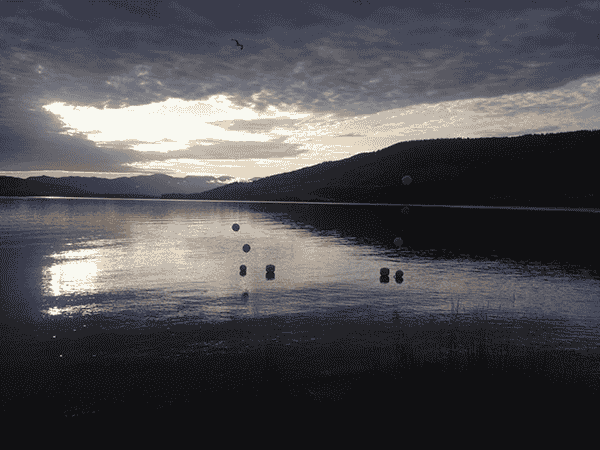 Photo of Flathead Lake courtesy of the Flathead Lake Swim Series.