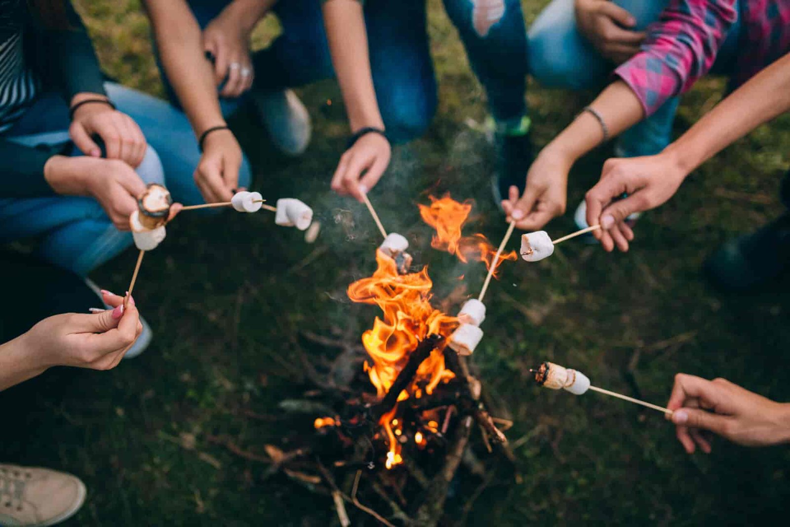 Campfire with roasting marshmallows