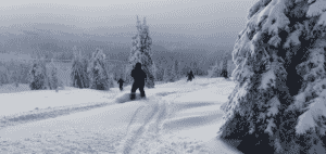 Photo of skiers in powder by Shallan Knowles.