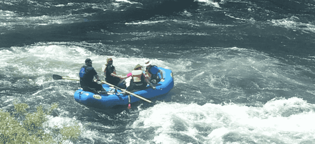 Photo of rafters on the Bowl & Pitcher.