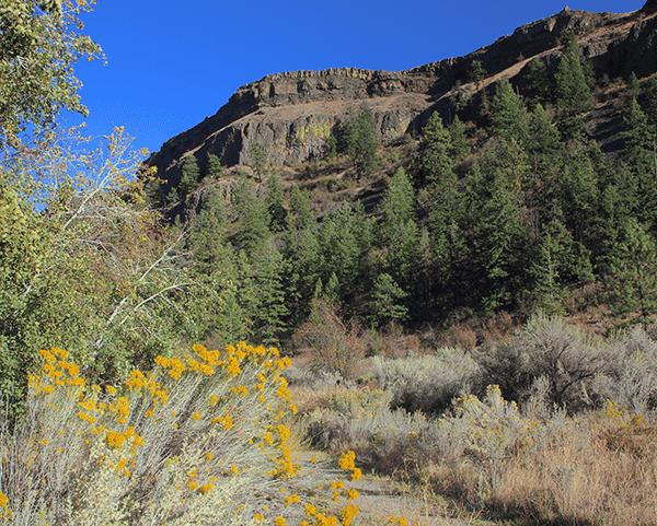 Photo of south wall of Northrup Canyon and sagebrush.