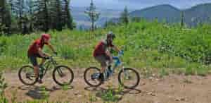 Photo of two mountain bikers riding on double track trail.