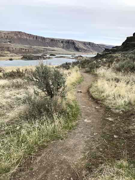 Trail with lake in the distance.