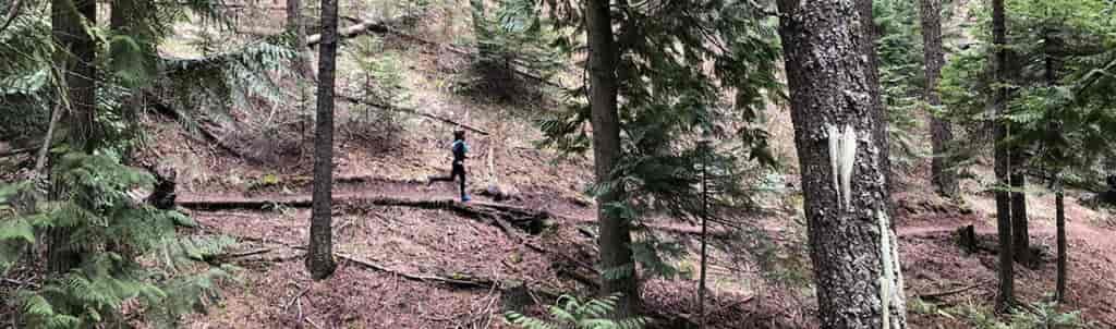 Lisa Laughlin running on the Headwaters Trail on Moscow Mountain.