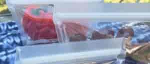 photo of bell peppers in reusable ziplock bag.