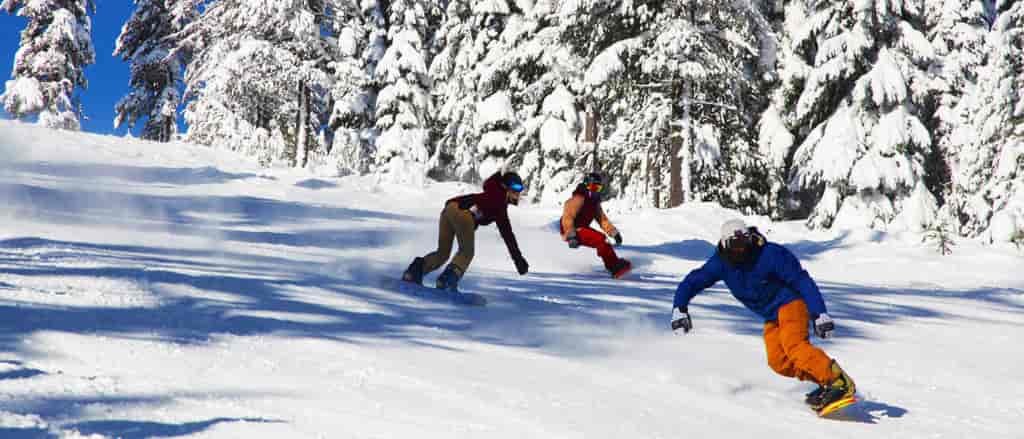 Three college students ripping it up on Gold Trail.