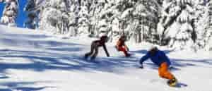Three college students ripping it up on Gold Trail.