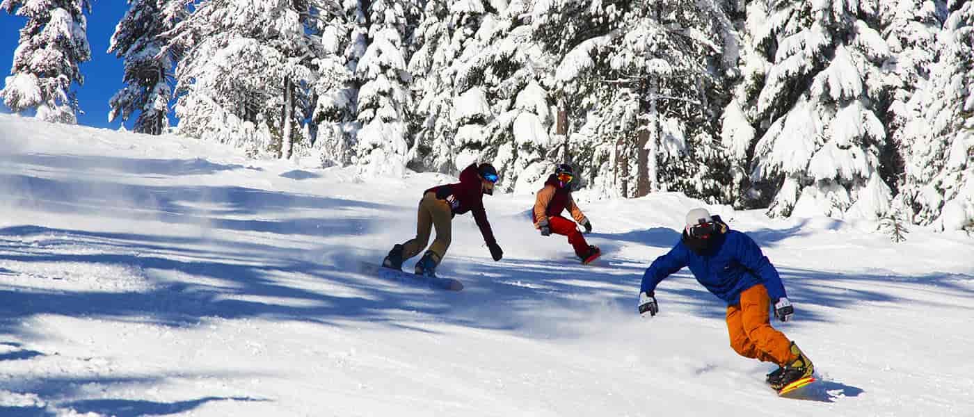 Three college students ripping it up on Gold Trail.