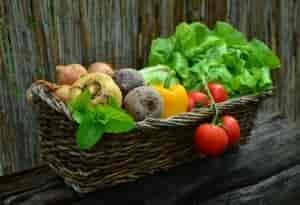 Basil, peppers, tomatos, onions, and lettuce in a wicker basket.