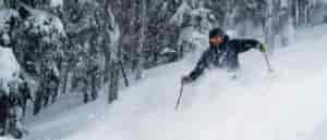 Photo of Bill Fuzak skiing powder.