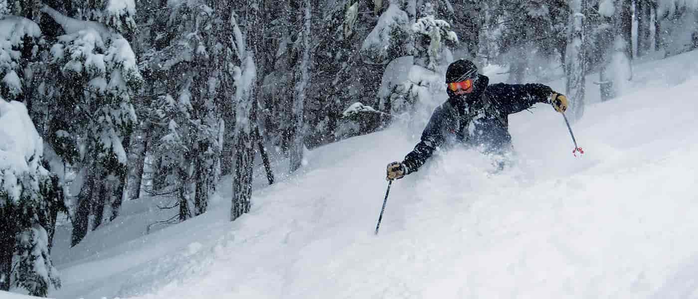 Photo of Bill Fuzak skiing powder.