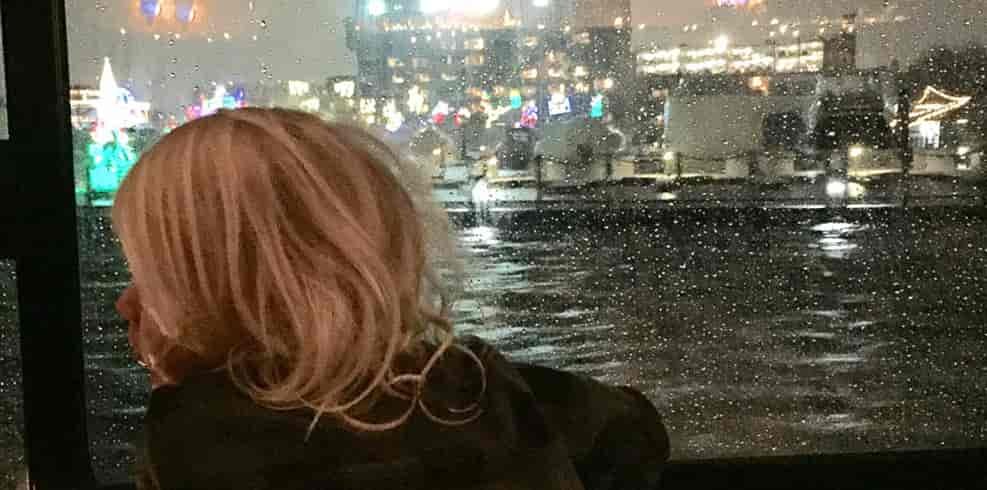 Photo of kid taken from behind looking out window at fireworks.