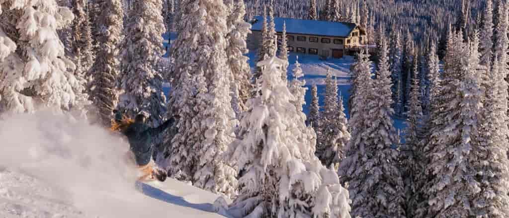 Photo of skier in powder at Sun Peaks.