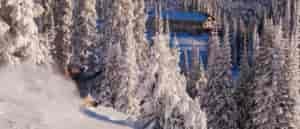 Photo of skier in powder at Sun Peaks.