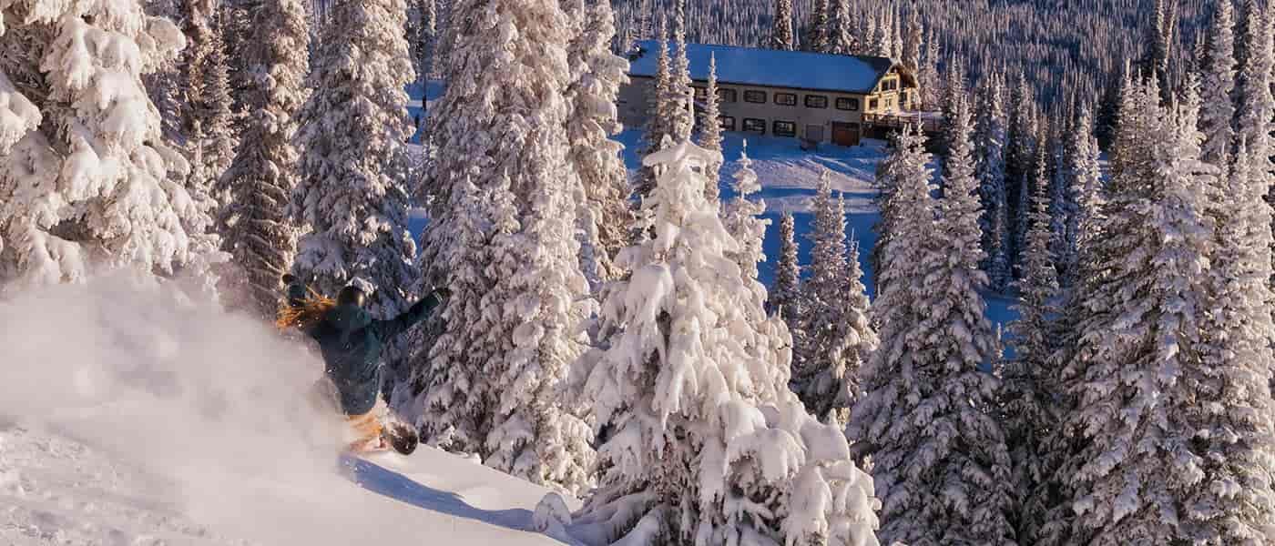 Photo of skier in powder at Sun Peaks.