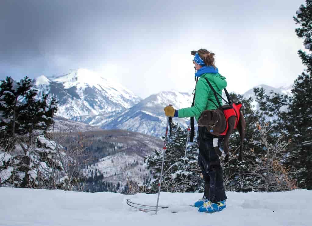 Woman carries dog on her back in the Fido Pro sling for injured dogs while she backcountry skies.