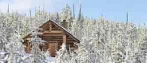Photo of Snow Peak cabin through snow covered trees.