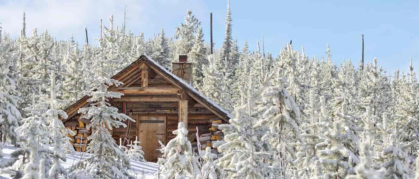 Photo of Snow Peak cabin through snow covered trees.