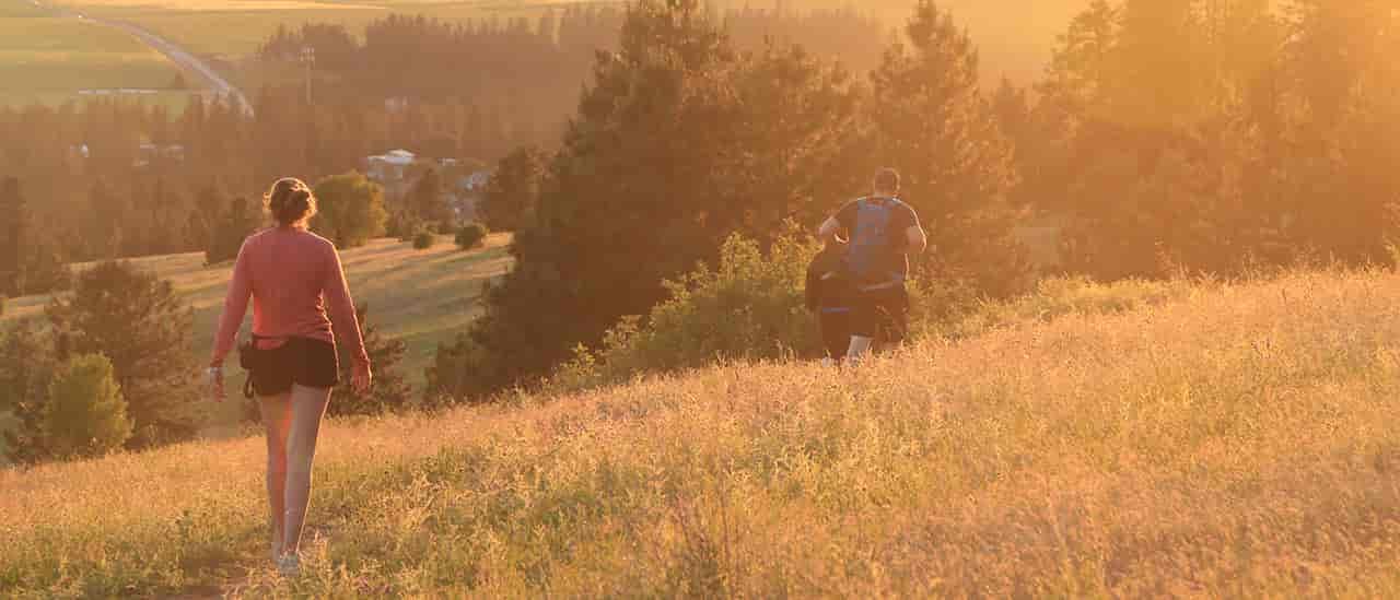 Photo of hikers on Antoine Peak at sunset.
