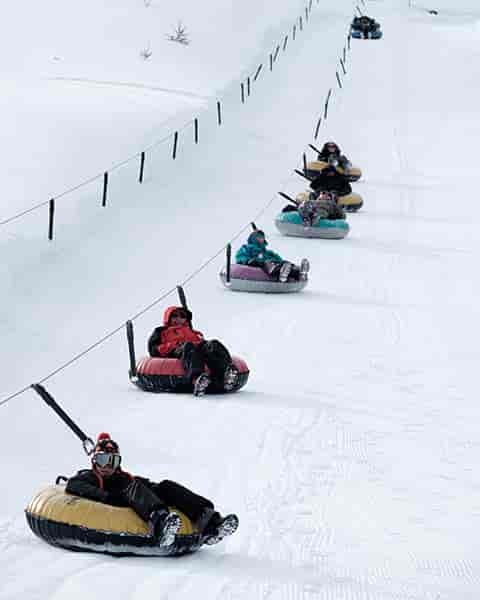 Photo of tubers