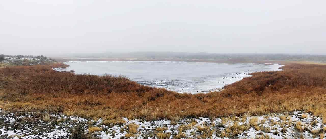 Photo of winter pond with a dusting of snow in foreground.