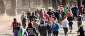 Photo of runners from behind.