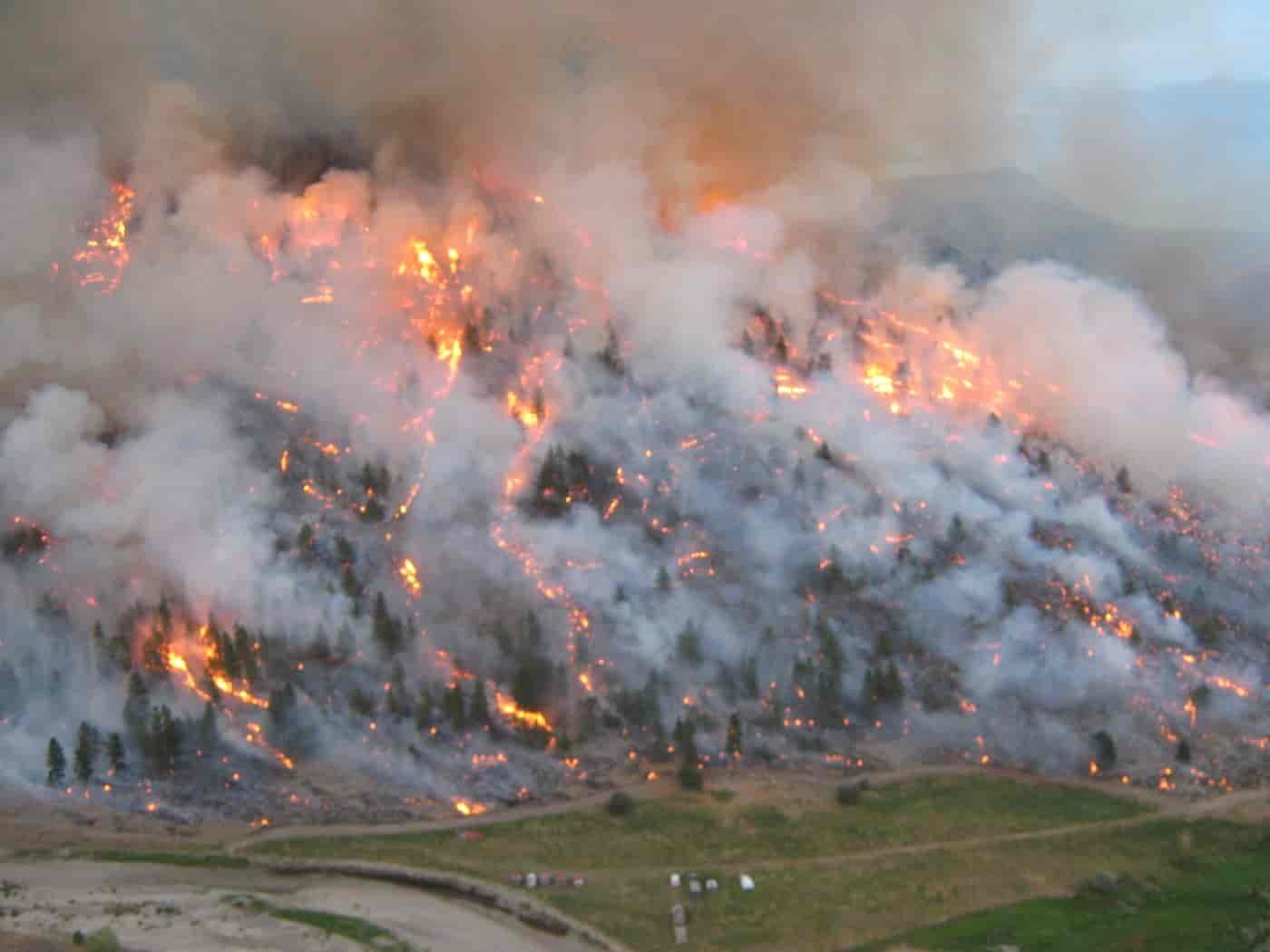 Wildfires