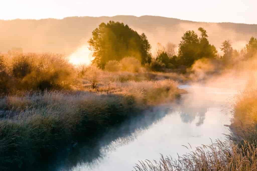 Payette River at sunrise with steam rising off the water's surface, with golden light on the surrounding trees and bushes.