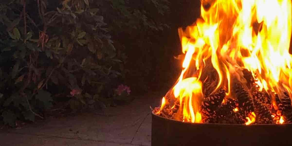 Large orange and red flames from a campfire.