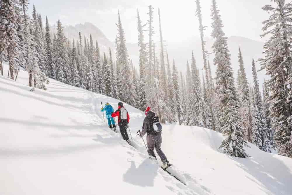 A group cross country skiing.